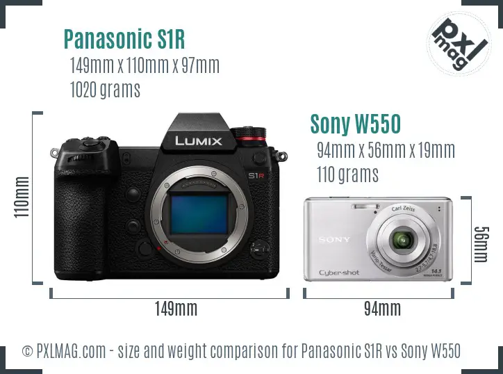 Panasonic S1R vs Sony W550 size comparison