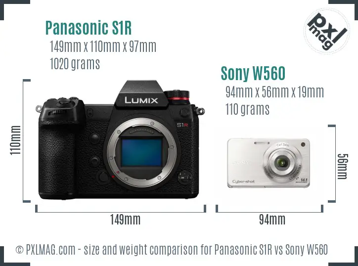 Panasonic S1R vs Sony W560 size comparison