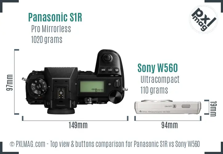 Panasonic S1R vs Sony W560 top view buttons comparison