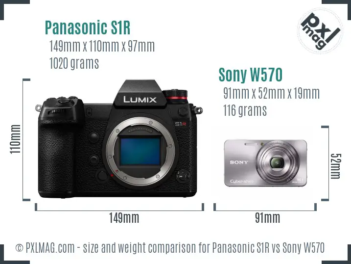 Panasonic S1R vs Sony W570 size comparison