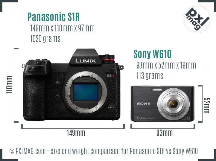 Panasonic S1R vs Sony W610 size comparison