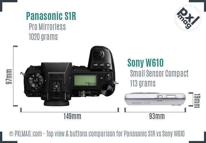 Panasonic S1R vs Sony W610 top view buttons comparison