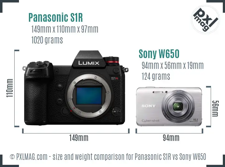 Panasonic S1R vs Sony W650 size comparison