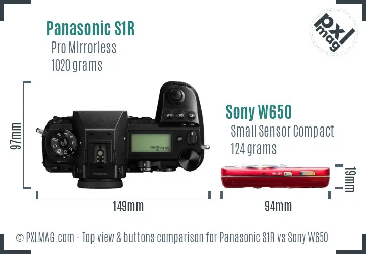 Panasonic S1R vs Sony W650 top view buttons comparison
