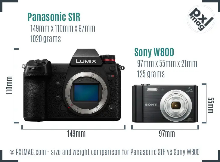 Panasonic S1R vs Sony W800 size comparison