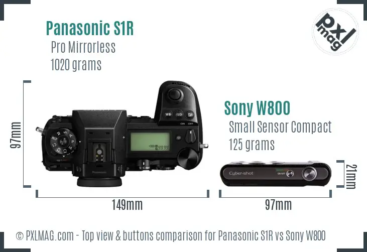 Panasonic S1R vs Sony W800 top view buttons comparison