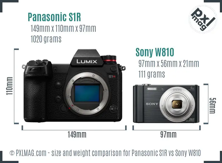 Panasonic S1R vs Sony W810 size comparison