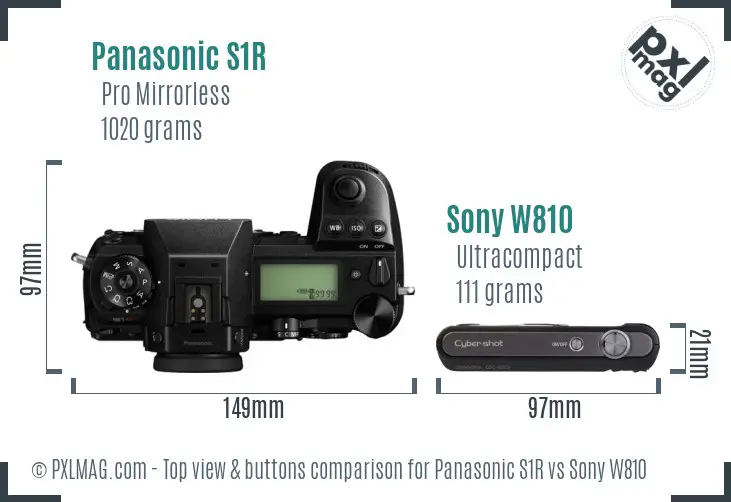 Panasonic S1R vs Sony W810 top view buttons comparison