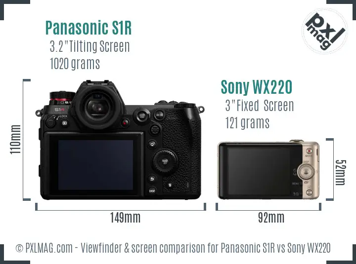 Panasonic S1R vs Sony WX220 Screen and Viewfinder comparison