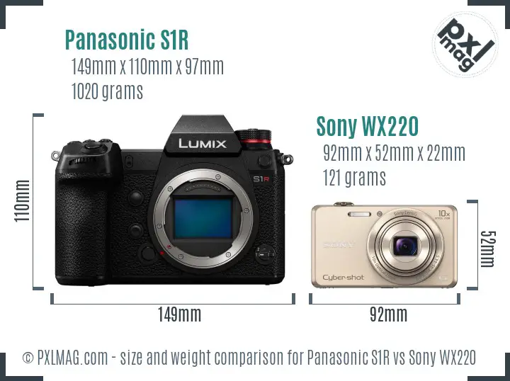 Panasonic S1R vs Sony WX220 size comparison