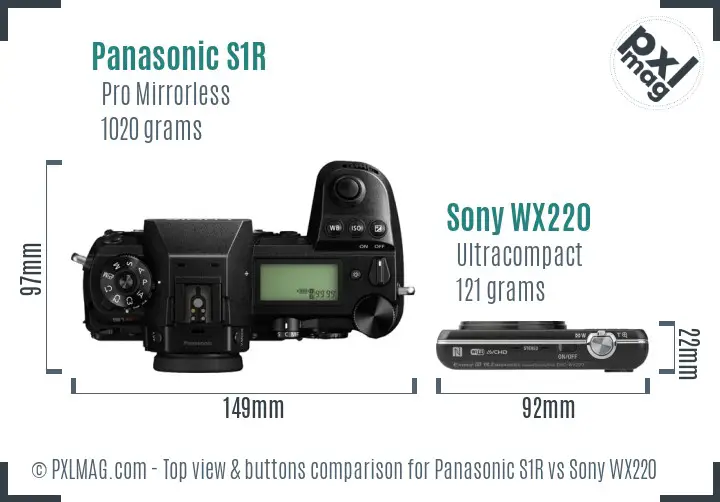 Panasonic S1R vs Sony WX220 top view buttons comparison