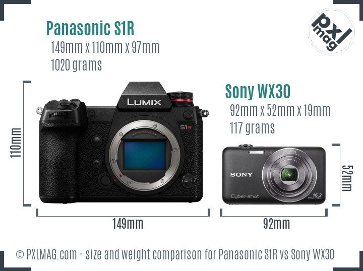 Panasonic S1R vs Sony WX30 size comparison