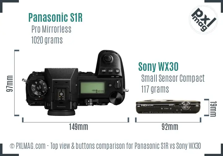 Panasonic S1R vs Sony WX30 top view buttons comparison