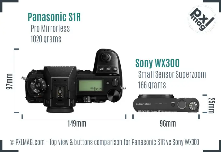 Panasonic S1R vs Sony WX300 top view buttons comparison