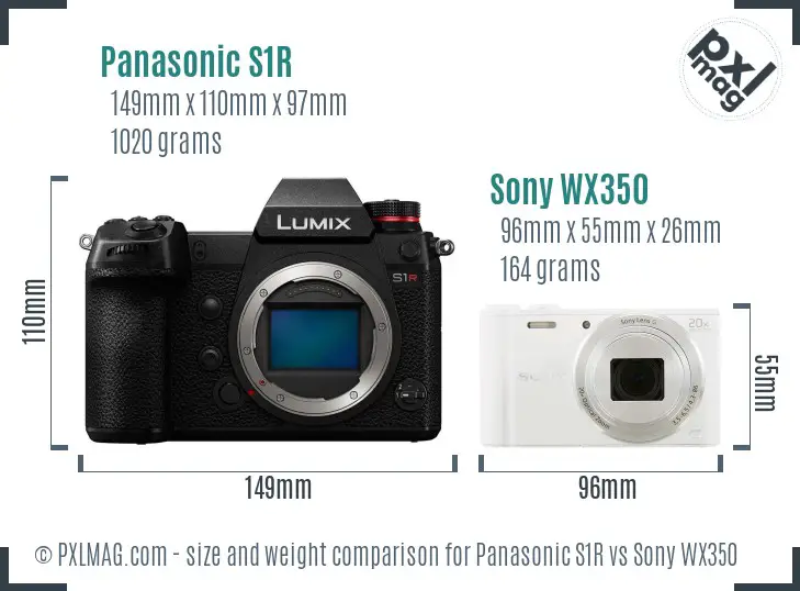 Panasonic S1R vs Sony WX350 size comparison