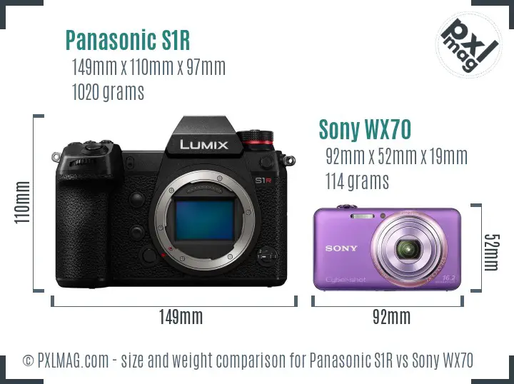 Panasonic S1R vs Sony WX70 size comparison