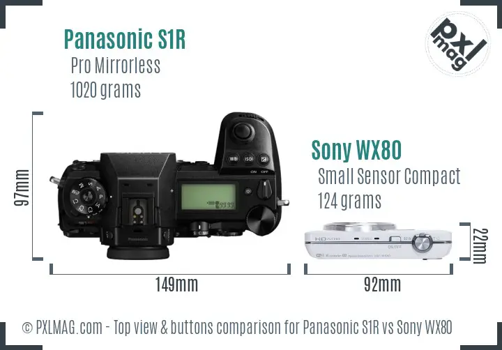 Panasonic S1R vs Sony WX80 top view buttons comparison