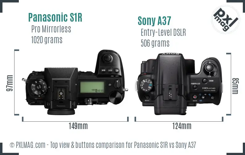 Panasonic S1R vs Sony A37 top view buttons comparison