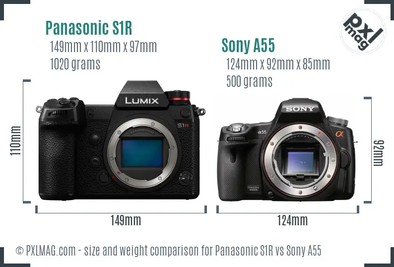 Panasonic S1R vs Sony A55 size comparison