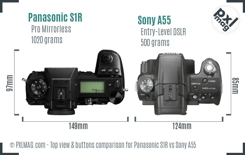 Panasonic S1R vs Sony A55 top view buttons comparison