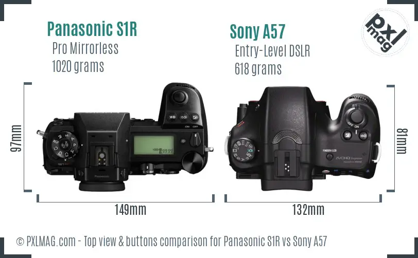 Panasonic S1R vs Sony A57 top view buttons comparison