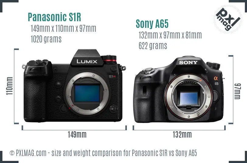 Panasonic S1R vs Sony A65 size comparison