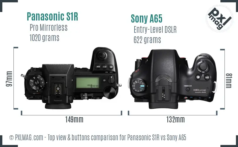 Panasonic S1R vs Sony A65 top view buttons comparison