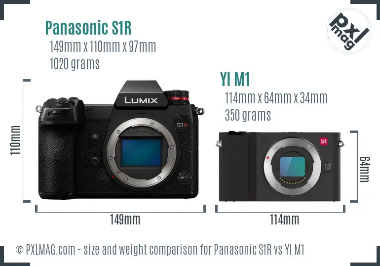 Panasonic S1R vs YI M1 size comparison