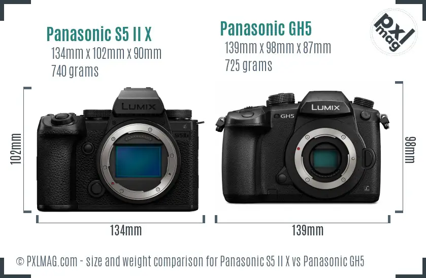 Panasonic S5 II X vs Panasonic GH5 size comparison