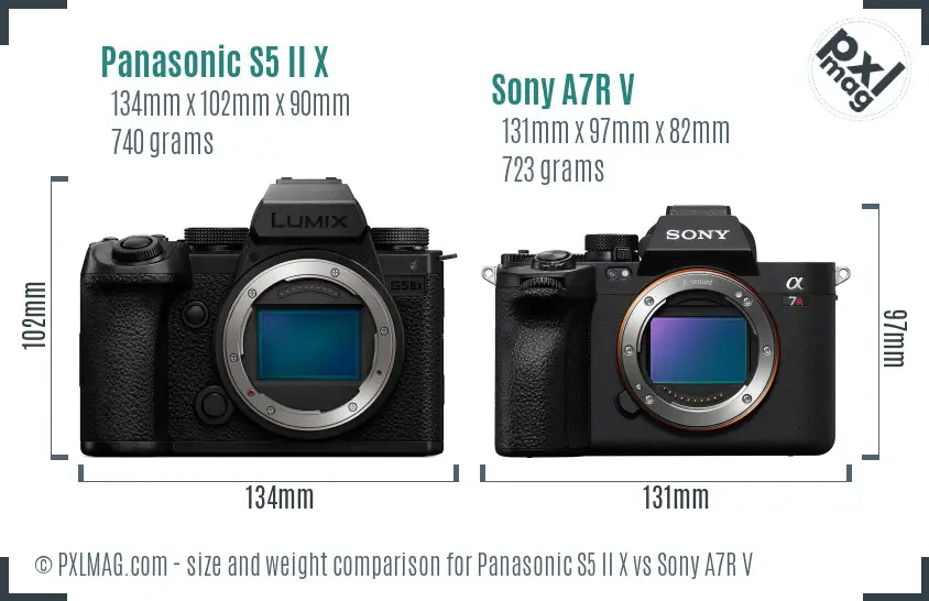 Panasonic S5 II X vs Sony A7R V size comparison