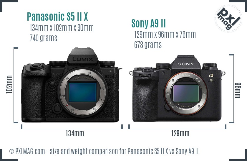 Panasonic S5 II X vs Sony A9 II size comparison