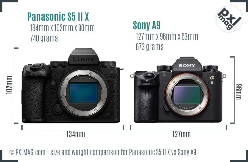 Panasonic S5 II X vs Sony A9 size comparison