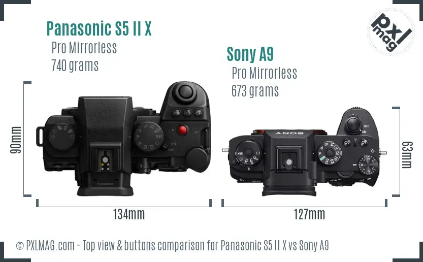 Panasonic S5 II X vs Sony A9 top view buttons comparison