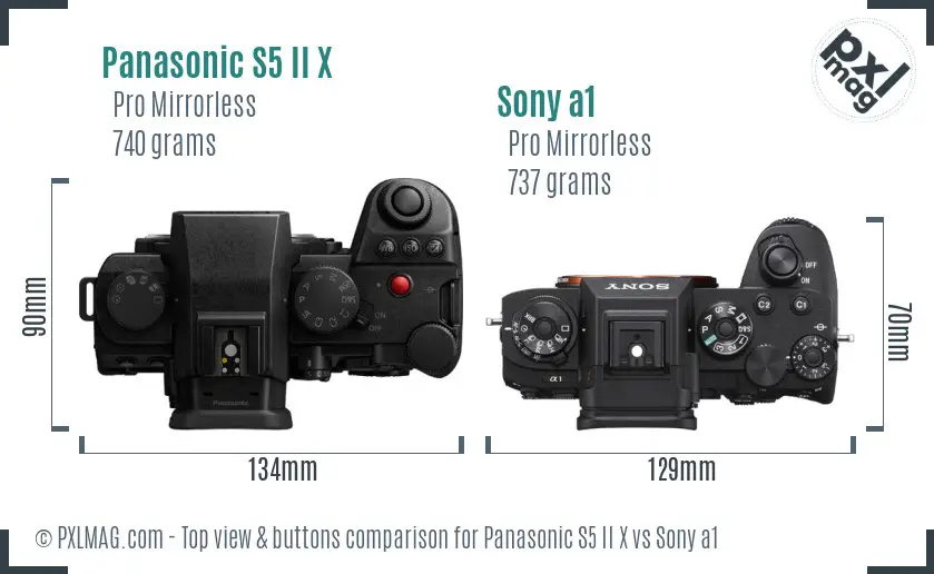 Panasonic S5 II X vs Sony a1 top view buttons comparison