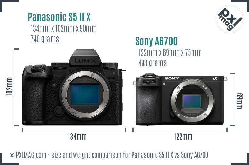 Panasonic S5 II X vs Sony A6700 size comparison