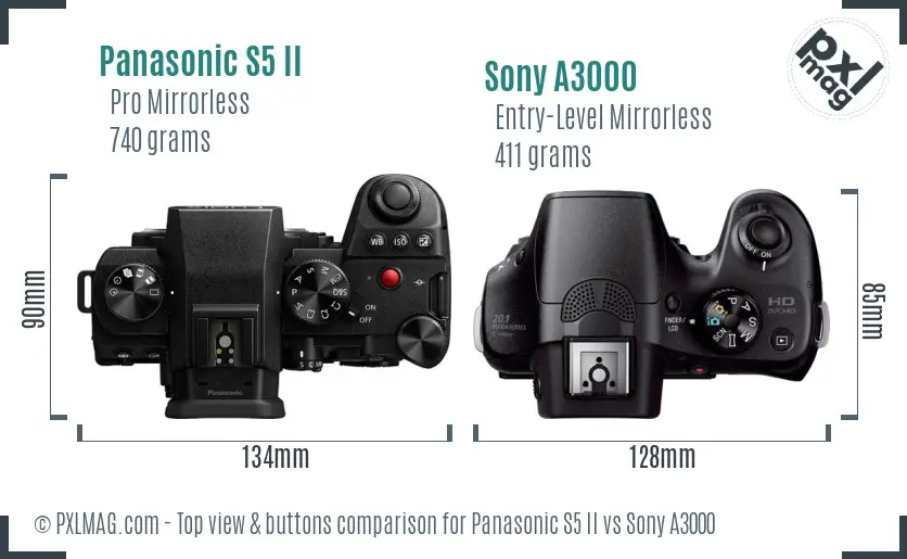 Panasonic S5 II vs Sony A3000 top view buttons comparison