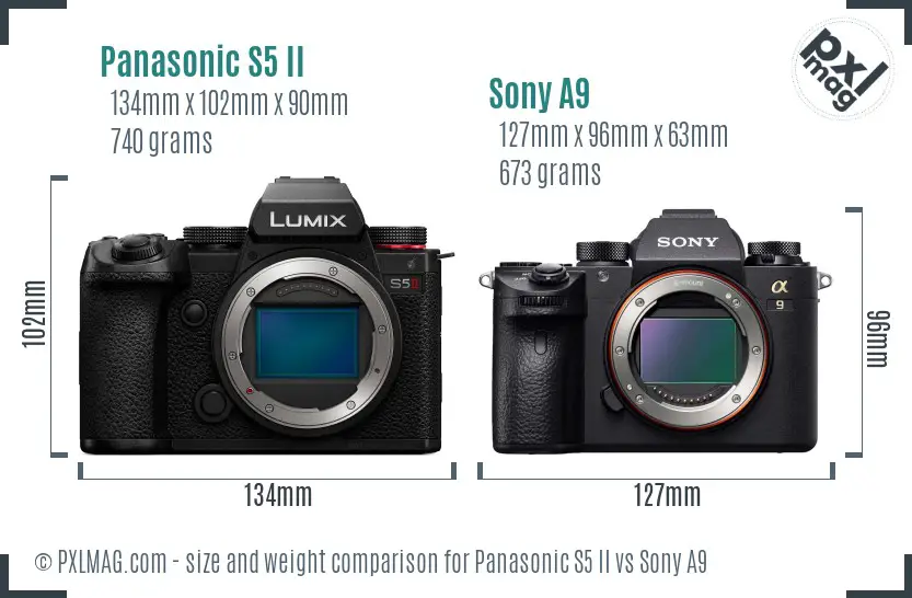 Panasonic S5 II vs Sony A9 size comparison