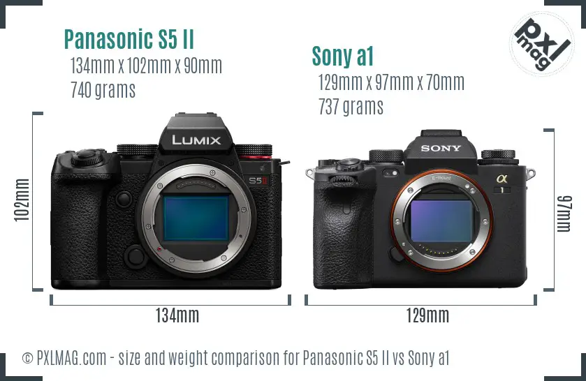 Panasonic S5 II vs Sony a1 size comparison