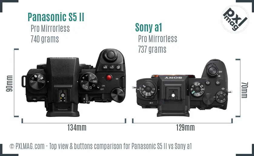 Panasonic S5 II vs Sony a1 top view buttons comparison