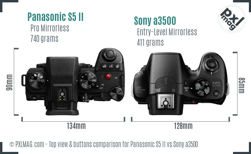 Panasonic S5 II vs Sony a3500 top view buttons comparison