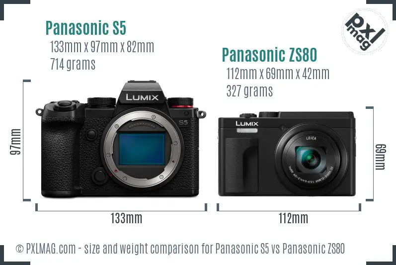 Panasonic S5 vs Panasonic ZS80 size comparison