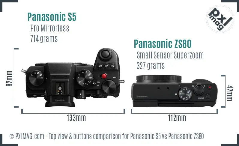 Panasonic S5 vs Panasonic ZS80 top view buttons comparison