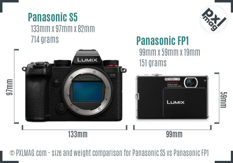 Panasonic S5 vs Panasonic FP1 size comparison