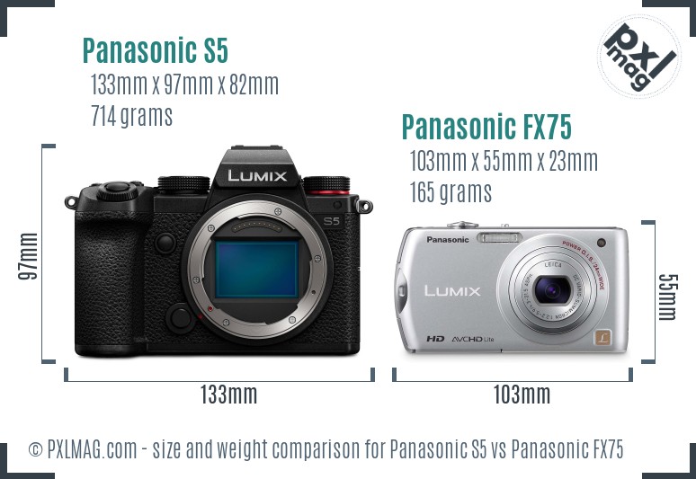 Panasonic S5 vs Panasonic FX75 size comparison