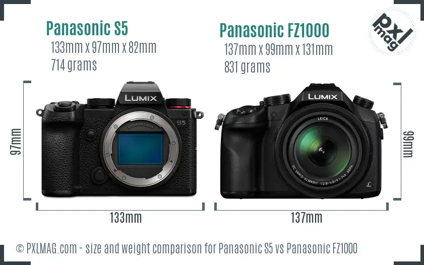 Panasonic S5 vs Panasonic FZ1000 size comparison