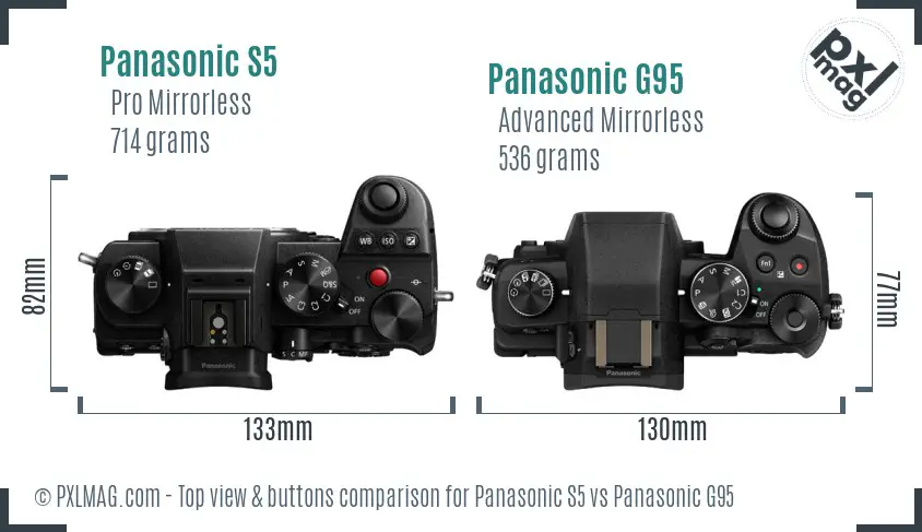 Panasonic S5 vs Panasonic G95 top view buttons comparison