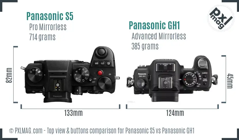 Panasonic S5 vs Panasonic GH1 top view buttons comparison