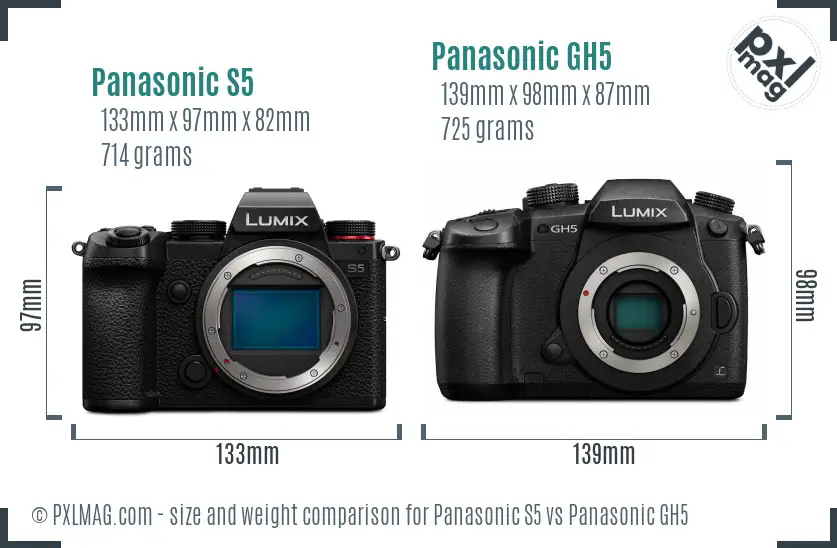 Panasonic S5 vs Panasonic GH5 size comparison