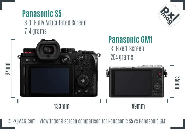 Panasonic S5 vs Panasonic GM1 Screen and Viewfinder comparison