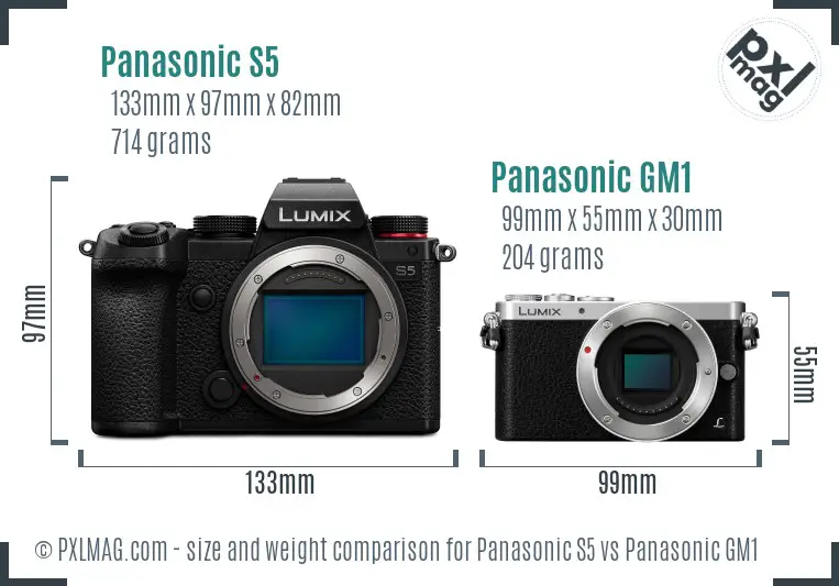 Panasonic S5 vs Panasonic GM1 size comparison